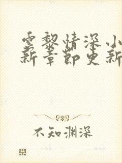 云黎情深小说最新章节更新时间