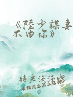 《陆少谋妻之婚不由你》
