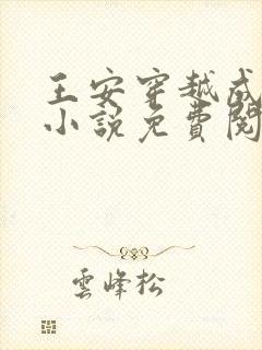 王安穿越成太子小说免费阅读