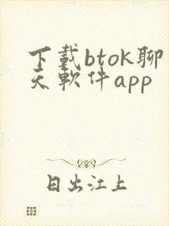下载btok聊天软件app