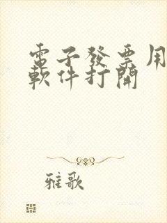 电子发票用什么软件打开