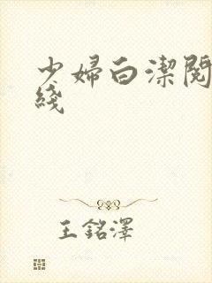 少妇白洁阅读在线