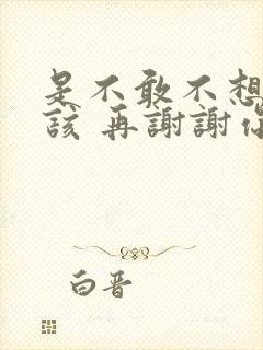 是不敢不想不应该 再谢谢你的爱歌词