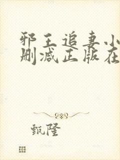 邪王追妻小说无删减正版在线阅读