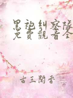 黑袍纠察队高清免费观看全集