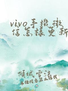 vivo手机微信怎样更新版本