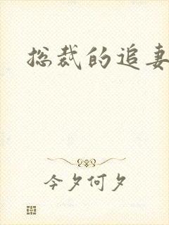 总裁的追妻之路