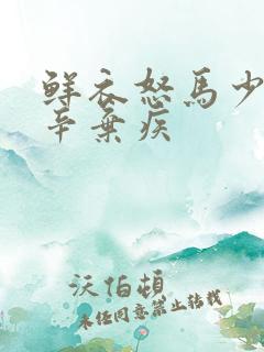 鲜衣怒马少年时辛弃疾