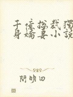 千亿总裁独宠替身娇妻小说