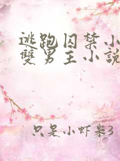 逃跑囚禁小少爷双男主小说推荐