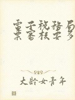 电子税务局开发票审核要多久