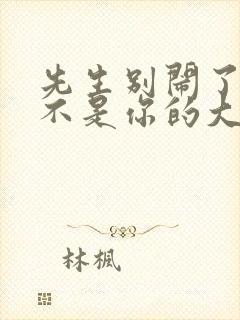 先生别闹了新娘不是你的大结局