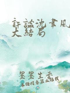 许谧沈聿风小说大结局