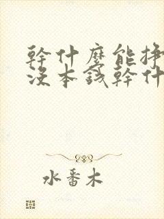 干什么能挣钱快没本钱干什么挣钱快