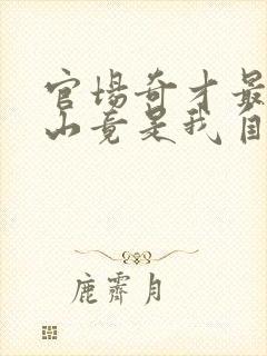 官场奇才最强靠山竟是我自己李澜小说什么