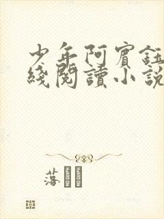 少年阿宾钰慧在线阅读小说