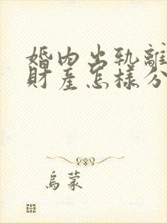 婚内出轨离婚后财产怎样分割