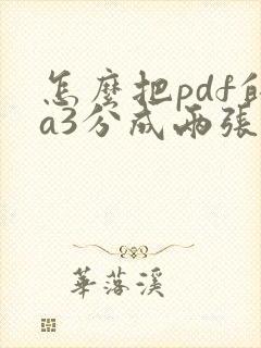 怎么把pdf的a3分成两张a4