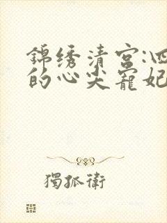 锦绣清宫:四爷的心尖宠妃 雪中回眸