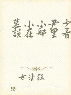 慕小小尹少桀小说在哪里看