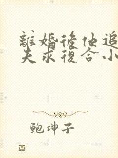 离婚后他追着前夫求复合小说