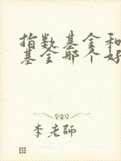 指数基金和股票基金哪个好