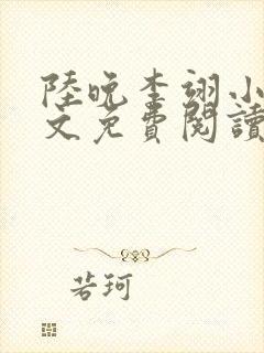 陆晚李翊小说全文免费阅读无弹窗