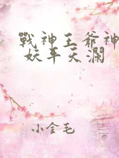 战神王爷神医妃 妖平天澜