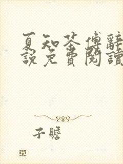 夏知茶傅辞与小说免费阅读