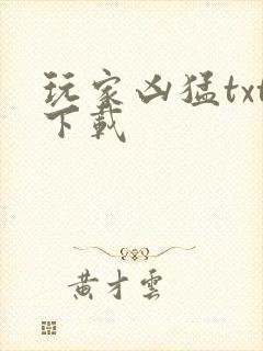 玩家凶猛txt下载