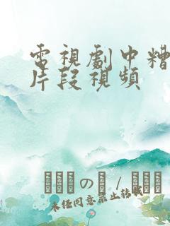 电视剧中糟蹂躏片段视频