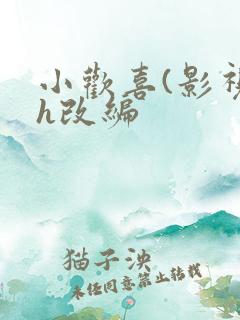 小欢喜(影视剧h改编