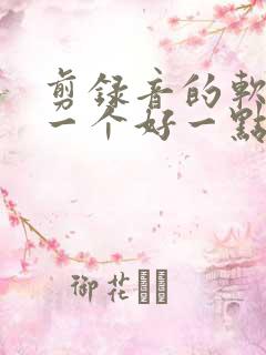 剪录音的软件哪一个好一点