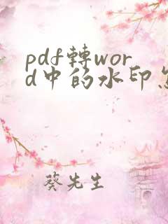 pdf转word中的水印怎么去除