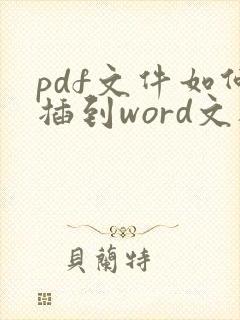 pdf文件如何插到word文档里