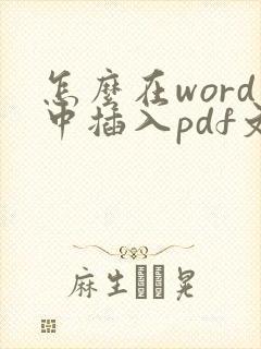 怎么在word中插入pdf文件