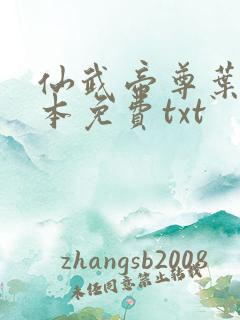 仙武帝尊叶辰全本免费txt