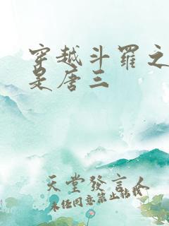 穿越斗罗之我弟是唐三