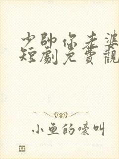 少帅你老婆跑了短剧免费观看