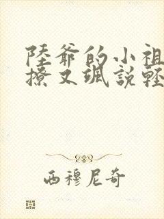 陆爷的小祖宗又撩又飒说轻舞