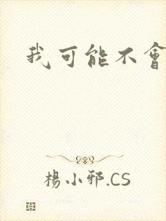 我可能不会爱你