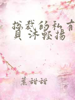 总裁的私有小宝贝 沐轻扬