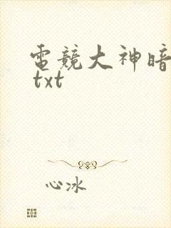电竞大神暗恋我 txt