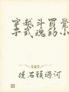 穿越斗罗觉醒竹子武魂的小说