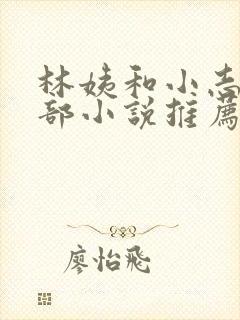 林姨和小志的全部小说推荐