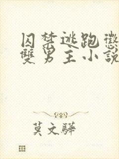 囚禁逃跑惩罚的双男主小说