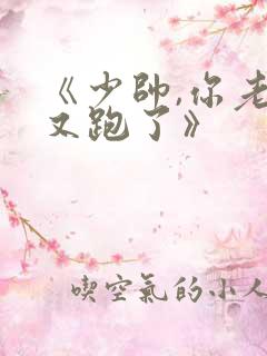 《少帅,你老婆又跑了》