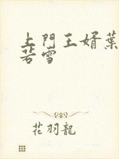 上门王婿叶凡唐若雪