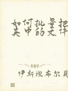 如何批量把文件夹中的文件提出来