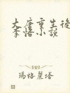 大唐重生后杨妃李恪小说